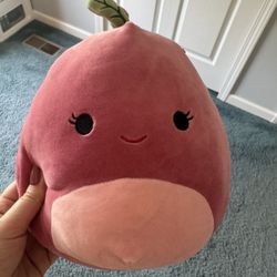 Squishmallows 