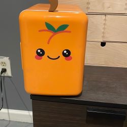 Mini fridge for beauty products