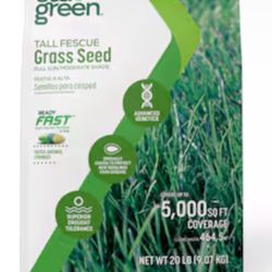 Sta-Green Ready Fast 20-lb Tall fescue Grass Seed