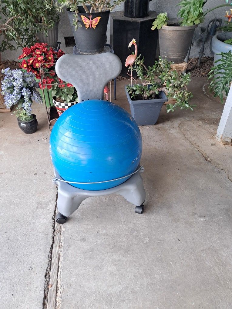 Balance Ball Chair