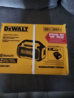 Dewalt speaker kit