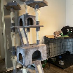 Cat House