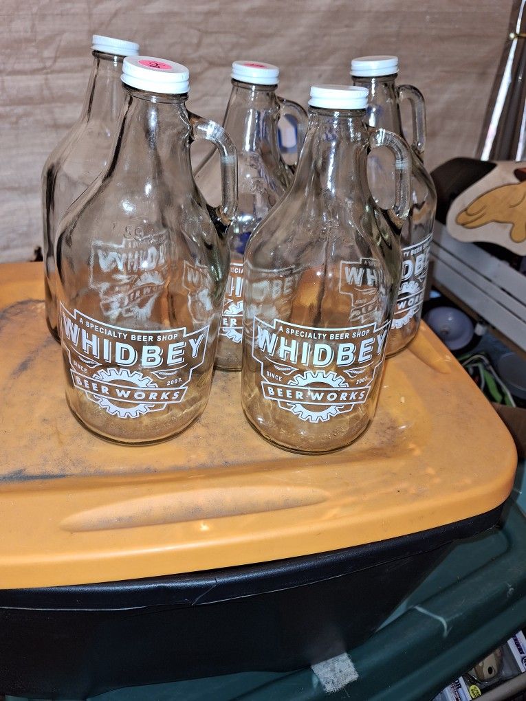Whidbey Island Growlers