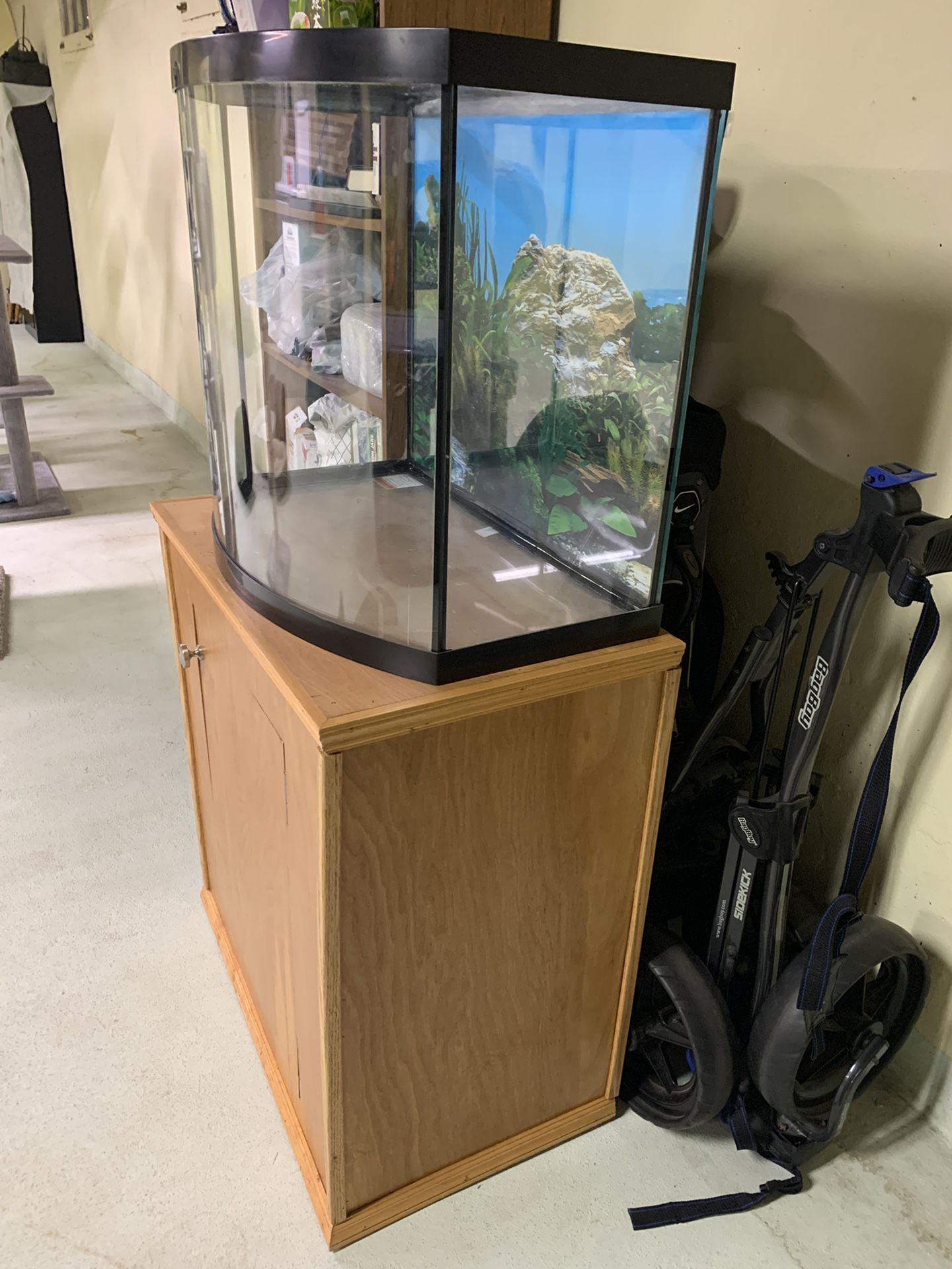26 gallon bow front aquarium hotsell
