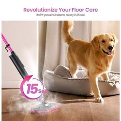 Steam Mop