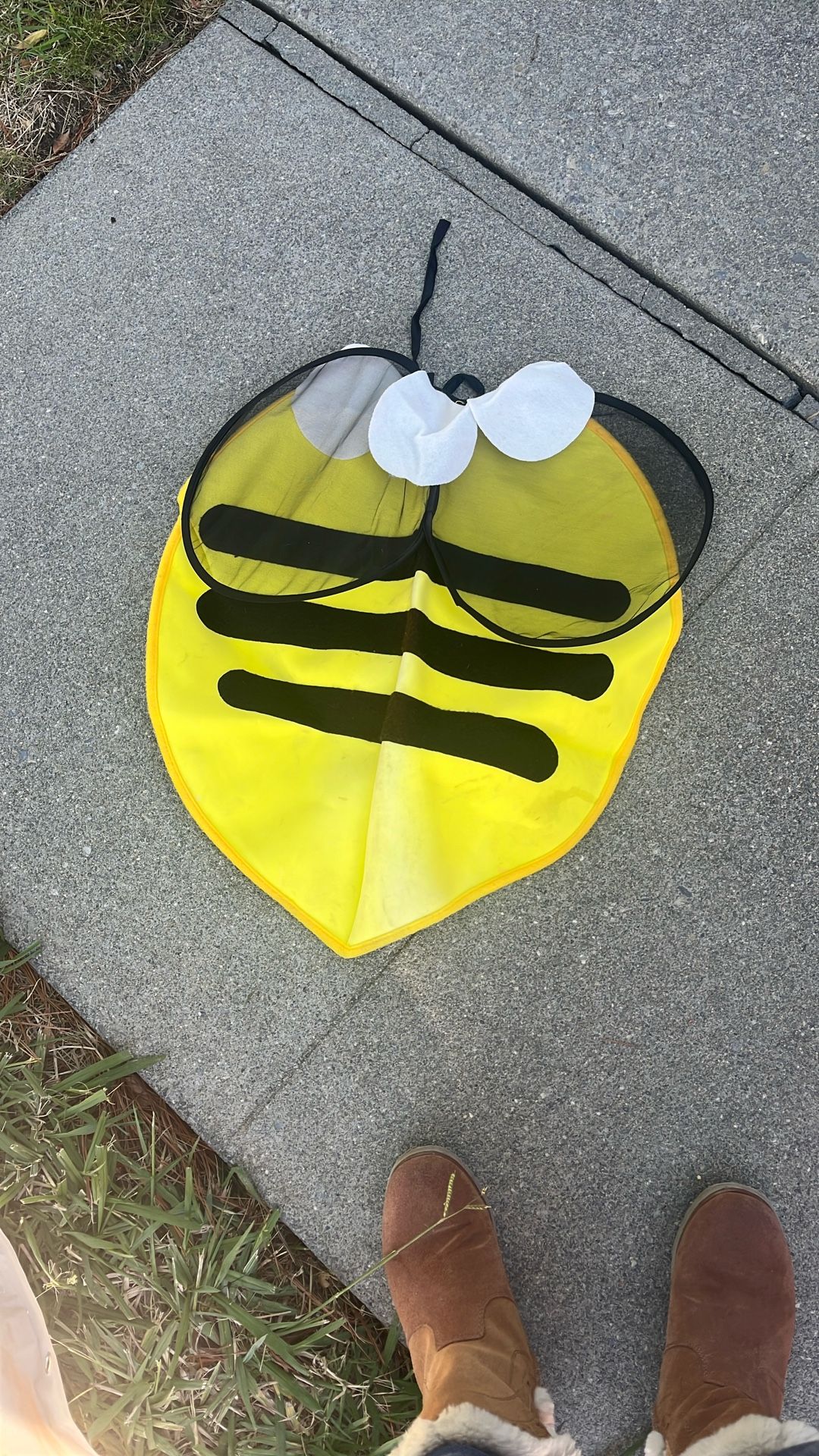 Bumblebee 🐝 Shell With Wings Halloween Costume 
