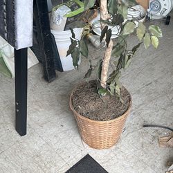 Artificial Tree