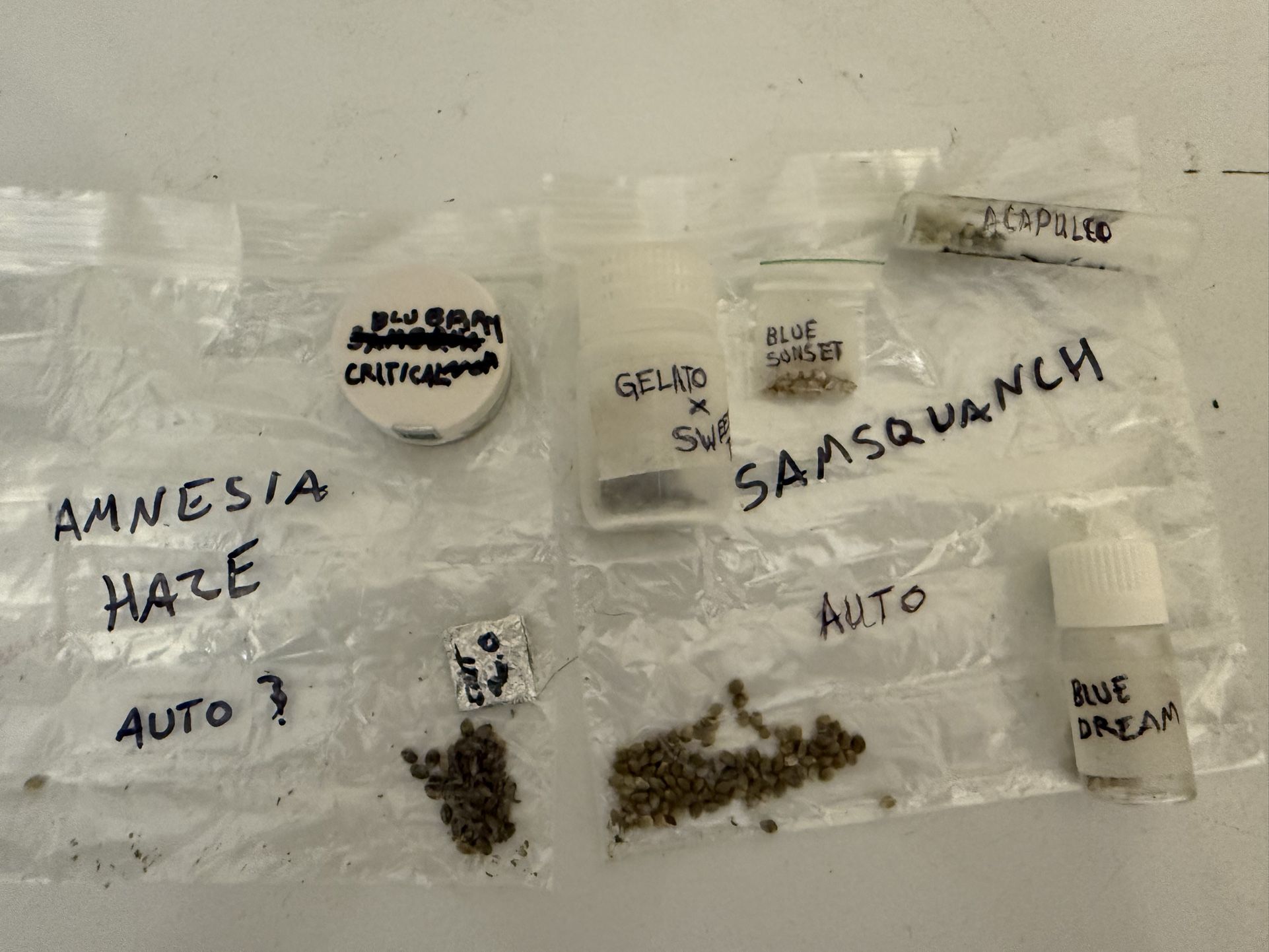 Herbal Seeds