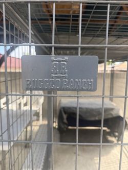 5' x 10' Durango Kennel  with top