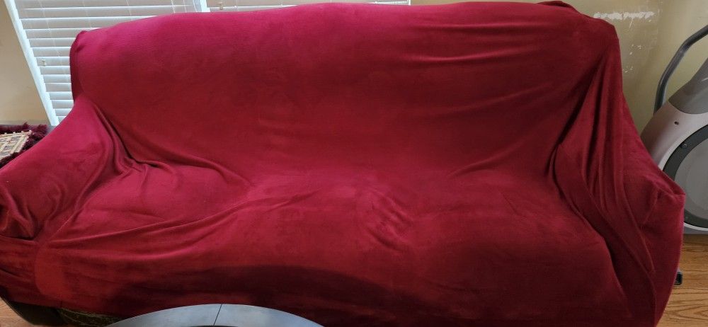 Free Sofa and Loveseat