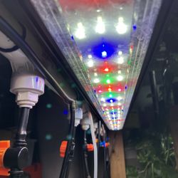Lifeguard Aquatics 4ft (48 Inch) Full Spectrum Aquarium Fish Tank Light