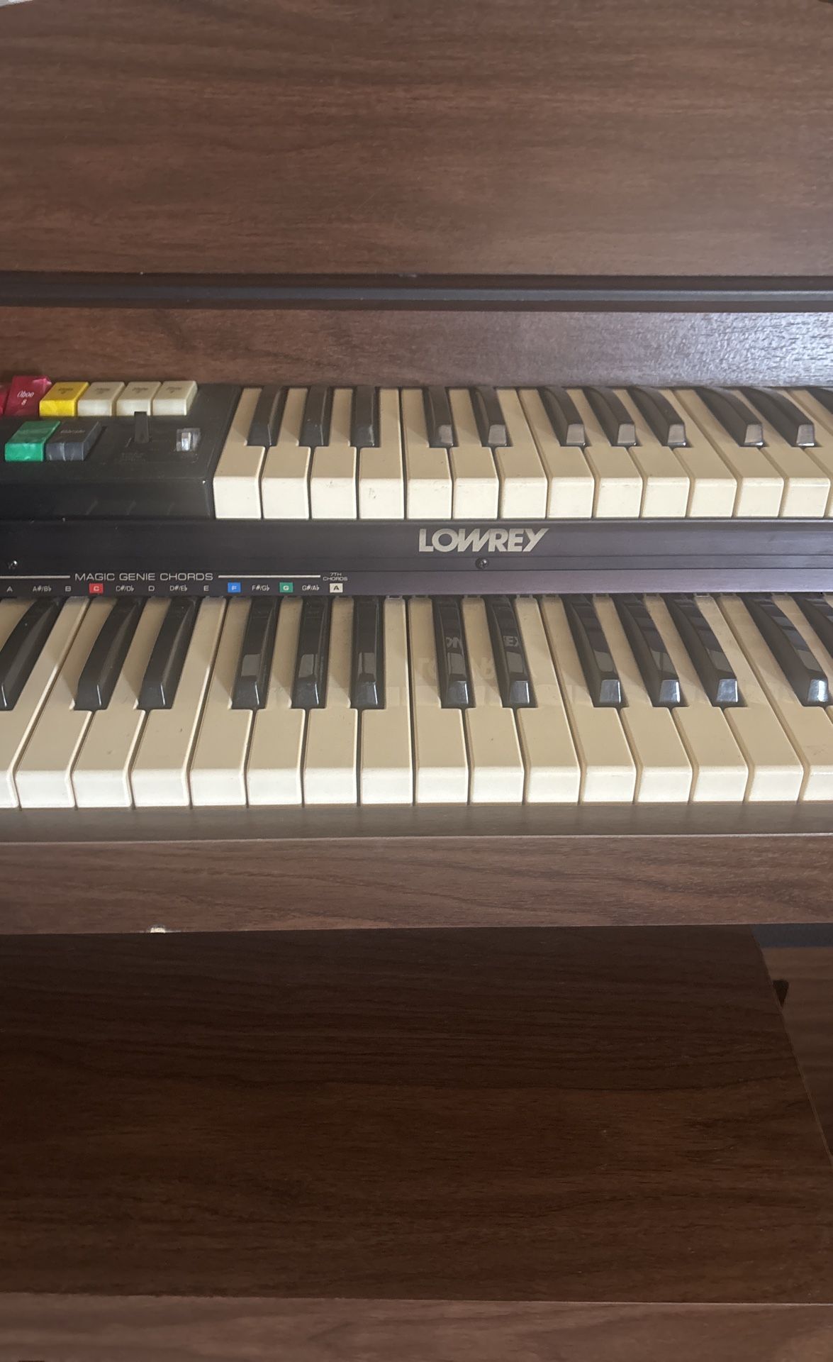 Lowrey Piano Garnival With Manic Genie