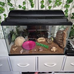 Aquarium For Hermit Crab And Accessories 