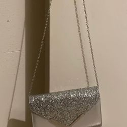 Silver Purse 