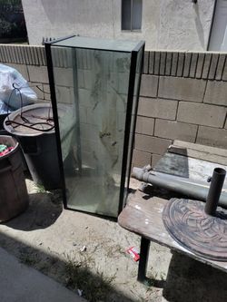 Fish Tank