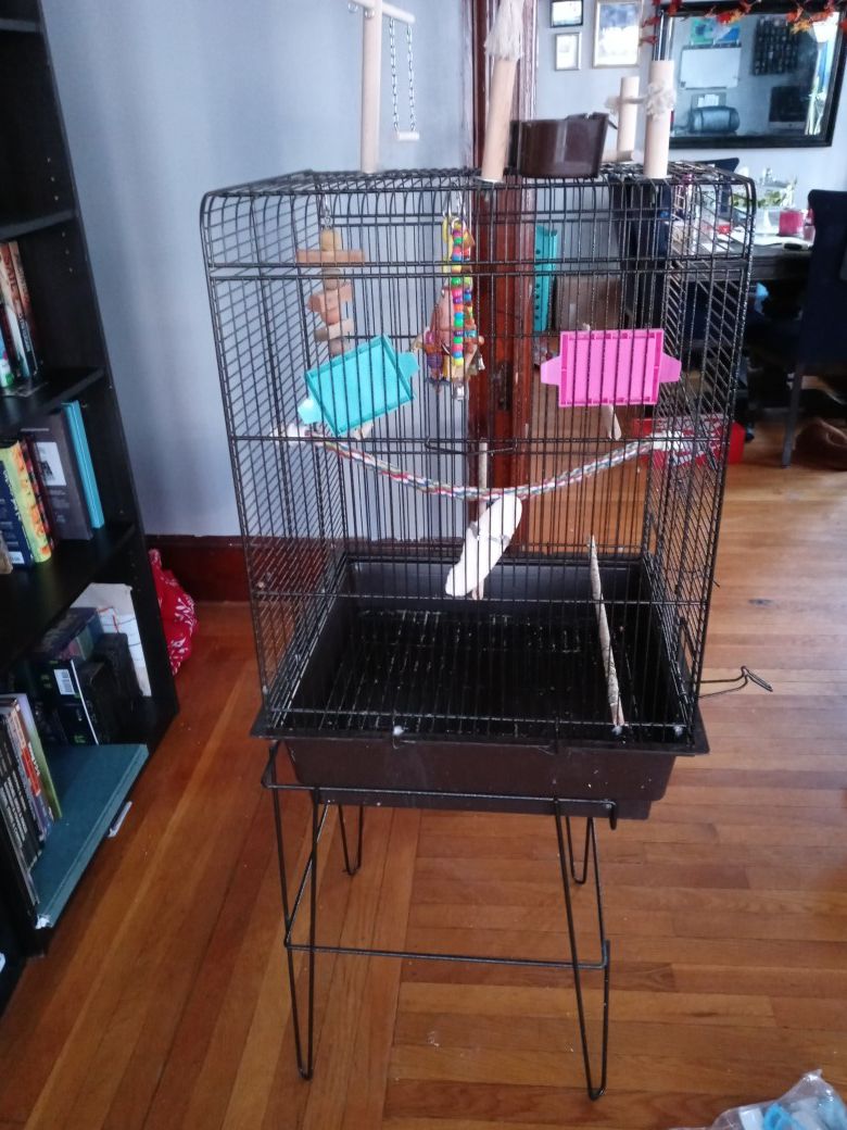 Bird cage with extra toys
