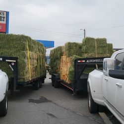 3 Tie Alfalfa Bales 