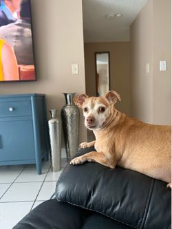 Love sofa recliner electric ( perfect condition)
