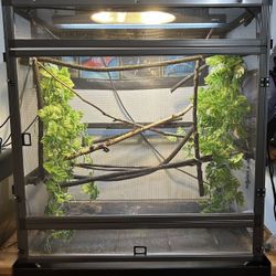 Dragon Strand Enclosure 