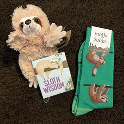 New Sloth Socks, Book, And Plushie