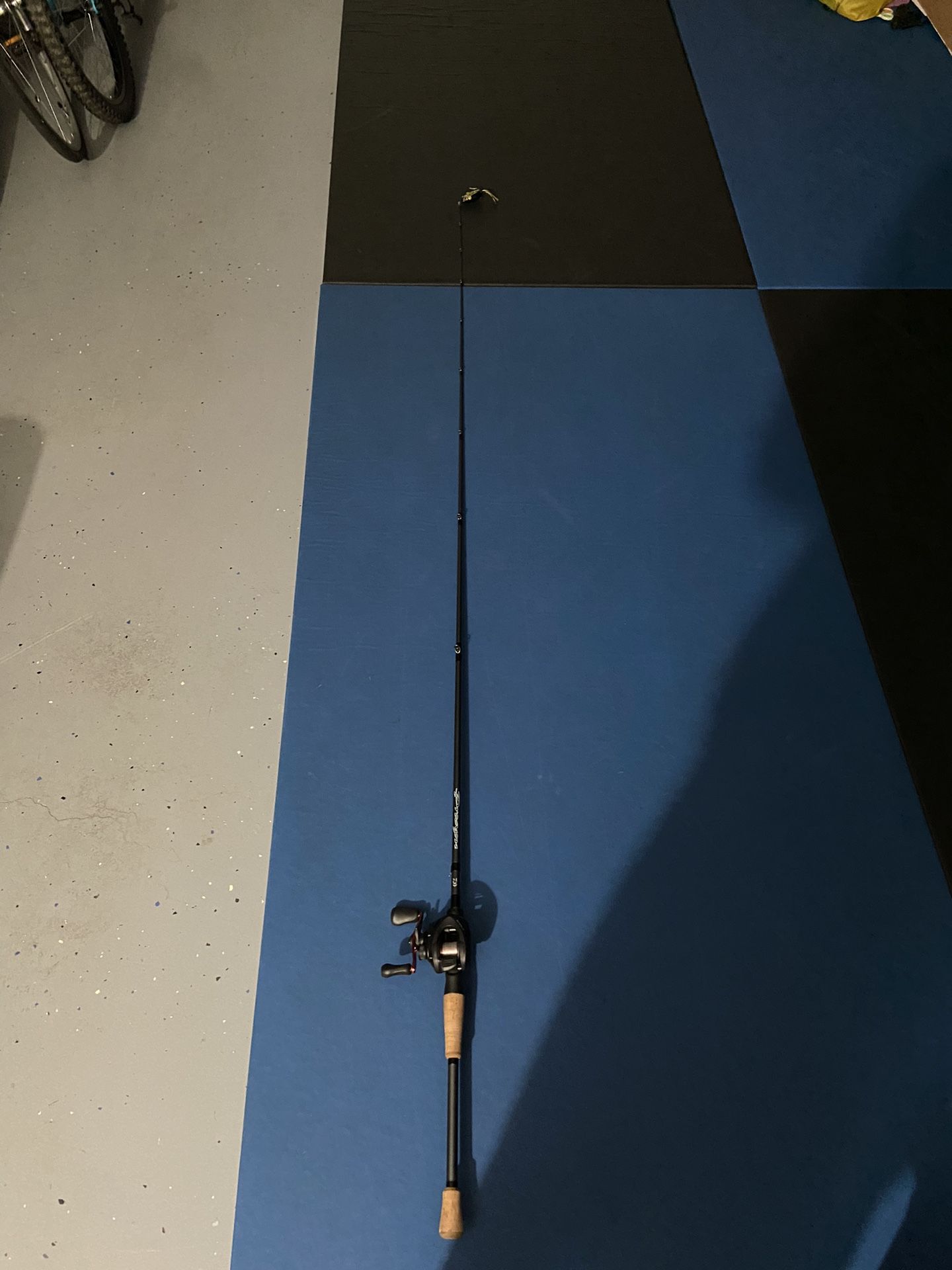 Daiwa Procyon and Shimano Caius baitcasting combo