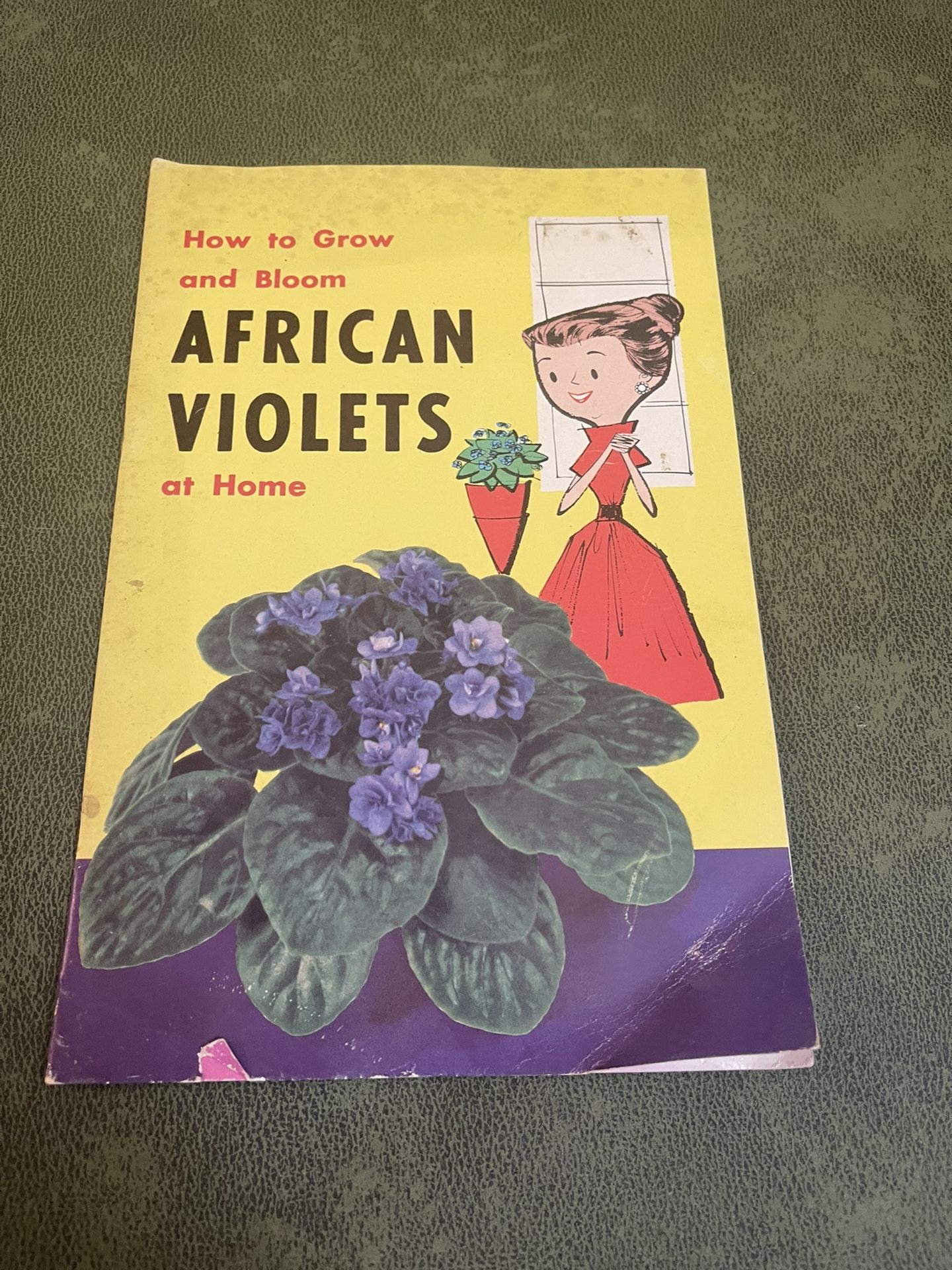Vintage How To Grow And Bloom African Violets At Home by J. Lawrence Heinl
