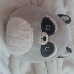 Raccoon Squishmellow