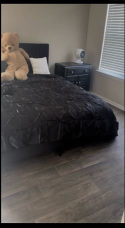 Black Velvet Bed w/Storage