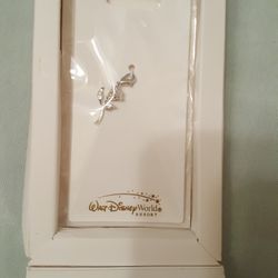 arrived brothers rose charm from Walt Disney world