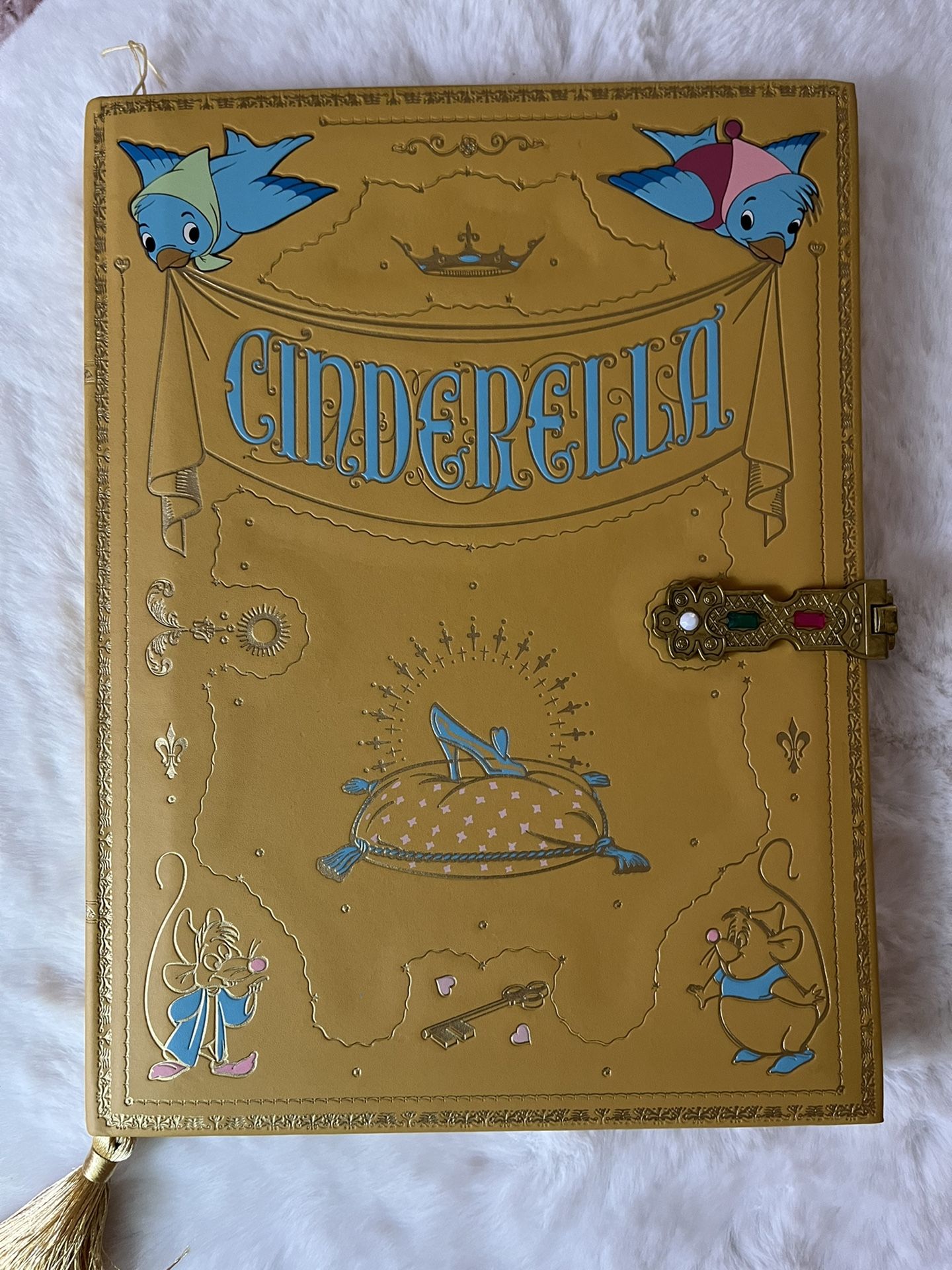 Cinderella Notebook