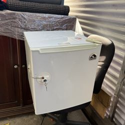 Mini Fridge With Lock 
