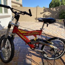 Mountain Bike $50.0