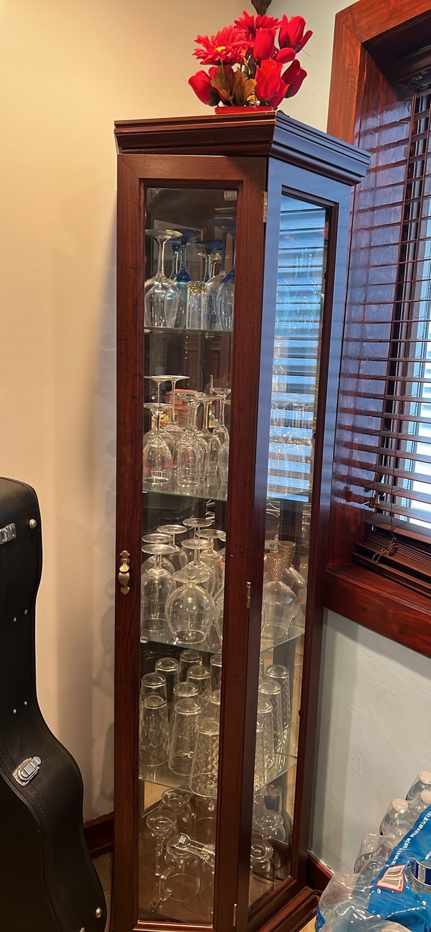 Lighted Glass cabinet display case