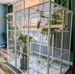 4' x 6' walk in aviary flight cage for parrots & birds