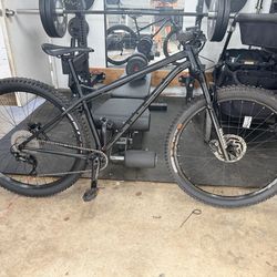 NS Eccentric Cromo 29 – Custom Hardtail New