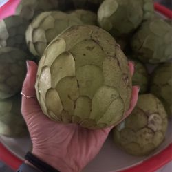 Fresh Cherimoya