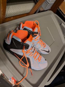 LeBron James 12s Size 14