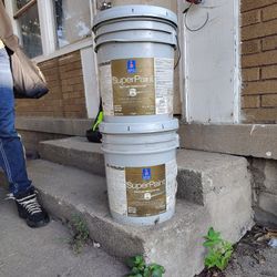 5 Gallon Paint