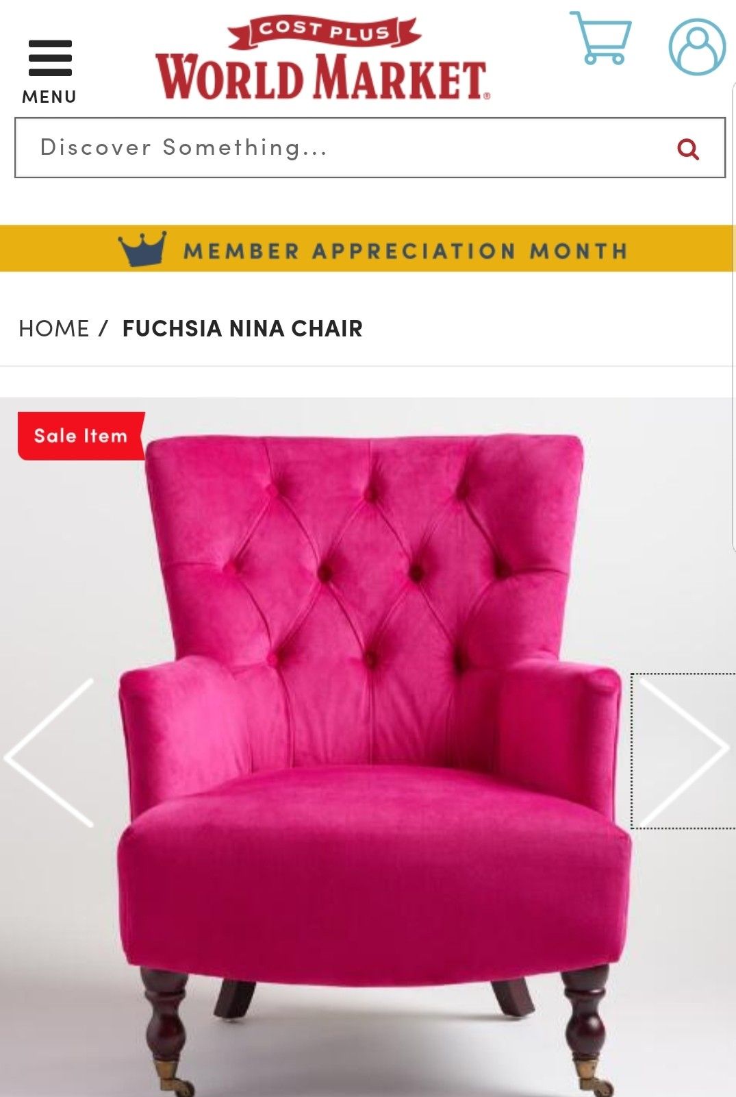 World market fuchsia chair sale