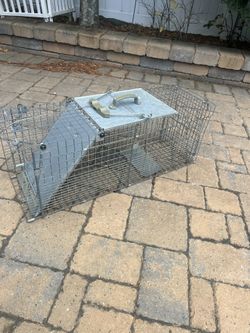 Used Large  Humane Catch and Release Live Animal Trap 