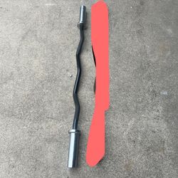 Olympic Curl Barbell Weights 