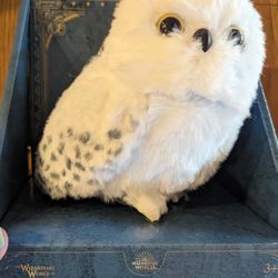 Harry Potter Snowy Owl