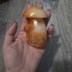 Golden Healer Mushroom 