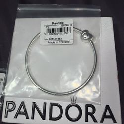 Pandora Bracelet and Charm 