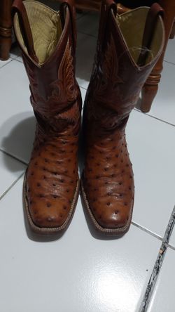 Botas de avestrus talla 10 1/2
