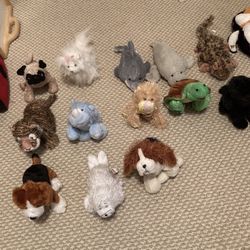 Webkinz- No Codes