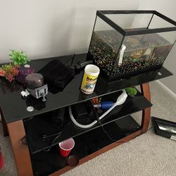 Entertainment Stands