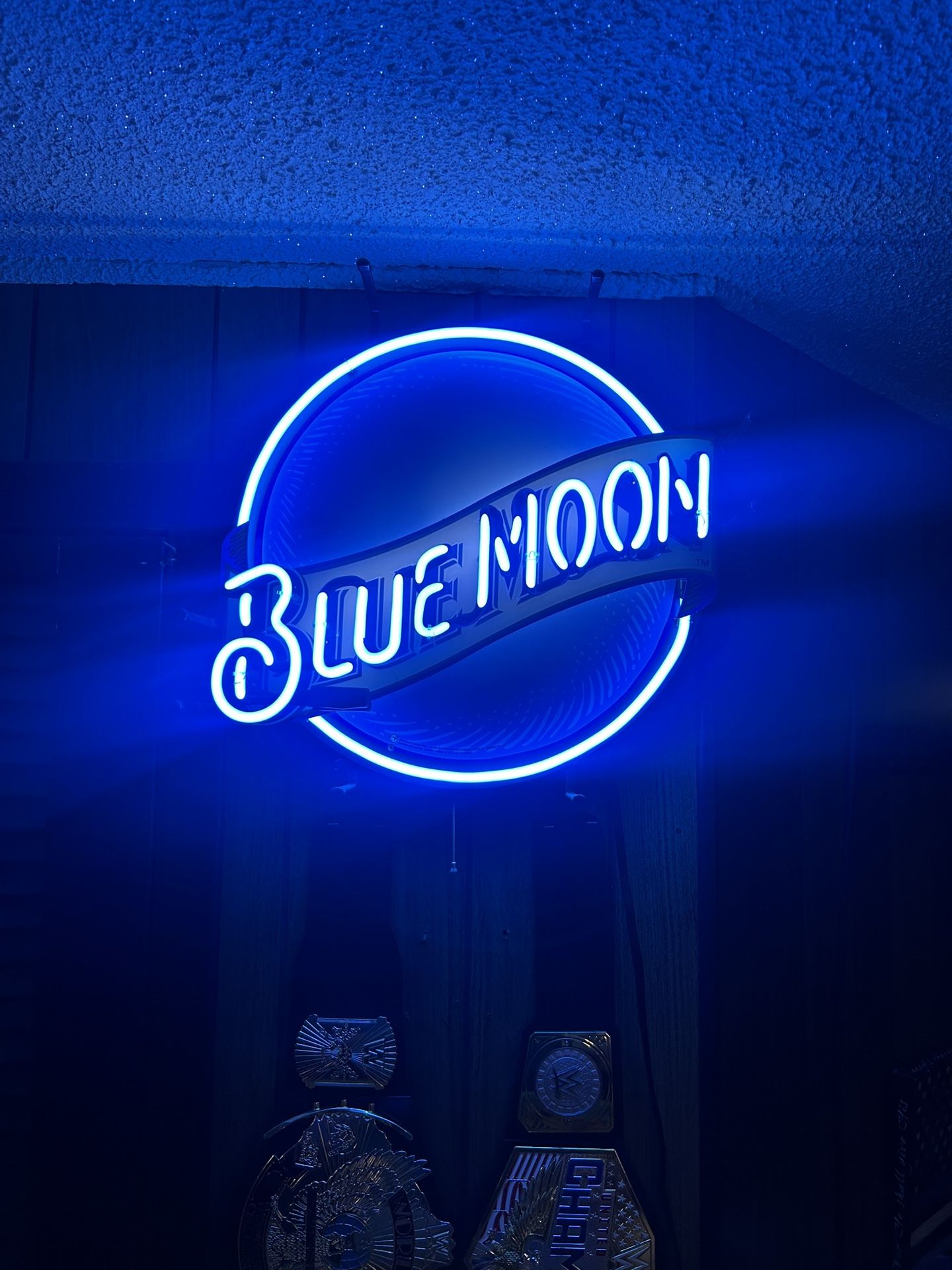 Blue Moon Neon Light