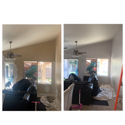 Interior & Exterior Painter