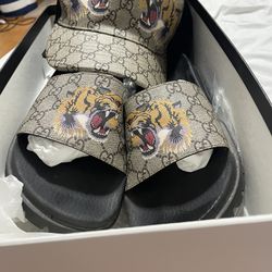 Gucci Slides And Hat 
